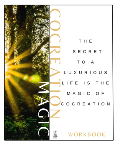 COCREATION MAGIC WORKBOOK