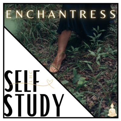 SELF-STUDY: ENCHANTRESS